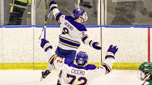 Hockey Falls to Holy Cross, 3-2