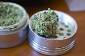 How to use a weed grinder. 5 Tips For Beginners On How To Use An Herb Grinder Max S Harvest
