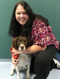 All pets veterinary clinic strives to offer excellence in veterinary care to middleton and surrounding areas. Contact Our Middleton Wi Veterinarians At All Pets Veterinary Clinic