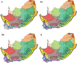 Image result for Indigofera rhytidocarpa