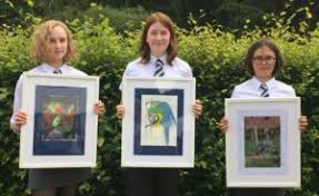 Harris county's response to this hazard is an emerging, rapidly evolving situation. Art Students Are Inspired By Animals On School Trip Folly Farm