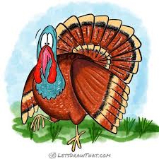 How To Draw A Turkey Completed Coloured In Drawing Drawings Cartoon Styles Cartoon Art