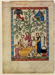5 steps to becoming a historian. 10 Facts About The Middle Ages That Might Make You Want To Become A Historian