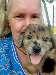 Say hello to Thomas J.