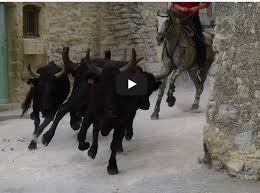 Ces traditions sont originaires du languedoc et de la provence. Calvisson 20 Et 21 07 2019 Retour En Video Sur La Fete Votive Toriltv Le Blog