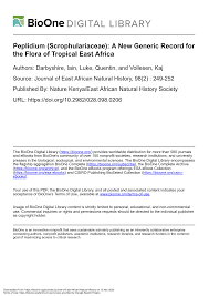 Image result for Ascolepis pusilla