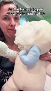 Dog inside Face Stuffed Animal