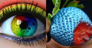 What do red green colorblind people see. Video Demonstrates How Color Blind People See The World Art Sheep