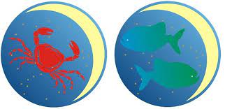 All of their emotions are best shared, understood and dealt with when they share a home and their life together. Cancer Man And Pisces Woman Love Compatibility Friendship