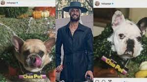 In a lengthy instagram post monday, fischer shared that, after returning home from the hospital to start a path to healing, he discovered a. Lady Gaga S Dog Walker Ryan Fischer Back Home After Hollywood Shooting Dognapping