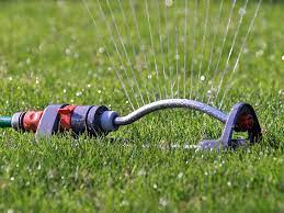 How to know if your lawn needs water? How Often Should I Water My Lawn What Time Is Best