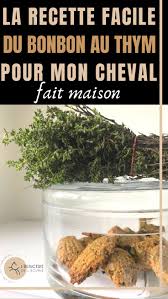 La Friandise Diy Au Thym Pour Votre Cheval In 2020 How To Dry Basil Herbs Food