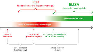 Jakie testy na koronawirusa wykonuje się w laboratorium? Test Euroimmun Anty Sars Cov 2 Elisa Iga Igg Informacje Podstawowe Euroimmun Blog