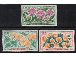 Image result for Cogniauxia podolaena