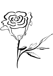 Time to color by squares! Coloring Page Rose Free Printable Coloring Pages Img 21253