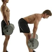 The romanian deadlift (rdl) is without a doubt one of the best exercises for building the muscles on the backside of the body, muscles that are critical for speed. Romanian Deadlift Showing Range Of Motion Download Scientific Diagram