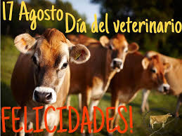 Dia del veterinario en mexico. Feliz Dia Del Veterinario Asociacion Jersey De Mexico Facebook
