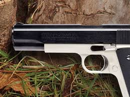 There are three different threads on the first two pages of turkey gate on daisy/winchester 1000's made by hatsan. Air Rifles Pellet Rifles Break Barrel Rifles Bb Co2 Guns Winchester