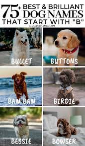 List of the top 50 badass dog names for female reveals you macho and cool ideas that you won't be able to resist. Female Puppy Names Starting With B Badeloft Com