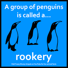 One of the amazing animal facts is that with a faster metabolism and small bodies, animals can see in slow motion. What Do You Call A Group Of Penguins A Fun Animal Fact For Kids Fun Facts About Animals Animal Facts For Kids Fun Facts For Kids