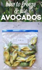 Ever wondered how to freeze avocado? How To Freeze Avocados