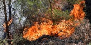 Σε νέα εντολή για πλήρη εκκένωση του χωριού γκάτζια προχώρησαν οι αρχές, καθώς πλησιάζει η φωτιά που ξέσπασε στο αραχναίο… R1fslnng6pezdm