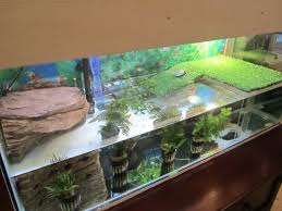 14 Splendid Diy Aquarium Furniture Ideas To Beautify Your Home Cuethat Turtle Aquarium Turtle Tank Setup Turtle Tank