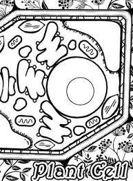 There are tons of great resources for free printable color pages online. Coloring Packs Quivervision 3d Augmented Reality Coloring Apps