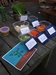 Pin By Tita 963 On First Grade Teaching Ideas Plant Lessons School Garden Plant Science