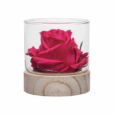 Enriched with essential oils which help creating a feeling of purity and peace at the art of making perfumes is an ancient one. Soothing Gardenia Rose Natural Fragrance Rose Lasts 4 Months