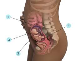 Pin On Baby