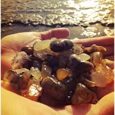 Agate Hunting Newport Oregon Oregon Beaches Oregon Vacation Oregon Coast
