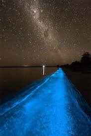 Gippsland Lakes In Australiaa Amazing Bioluminescent Lake Via Tumblr Lugares Para Viajar Islas Viajes