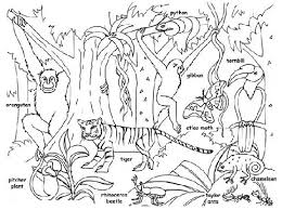 The jungle is an impenetrable forest in hot countries, home to a large number of different species of animals. 15 Best Printable Animal Colouring Pages For Kids