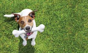 Enter your zip code & get started! Home Pro Lawn