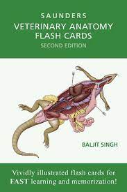 Free anatomy coloring book clanfieldinfo. Saunders Veterinary Anatomy Flash Cards 2nd Edition Vetbooks