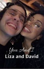 Lizaanddavid Stories