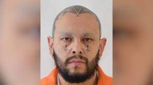 Gyvūnų ir naminių gyvūnėlių parduotuves, pirkiniai. One Person Sent To Hospital After Shooting And Car Chase In Canon City Man In Custody Fox21 News Colorado
