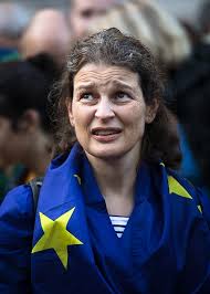 Bollocks to Brexit by Ray Knox