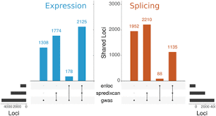 Eur vs ron (euro to romanian leu) exchange rate history chart. Exploiting The Gtex Resources To Decipher The Mechanisms At Gwas Loci Biorxiv
