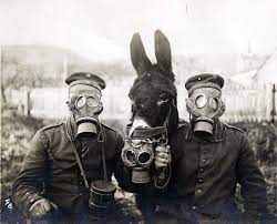 Please add commentary and supplementary information in the comments. Two German Soldiers And Their Mule Wearing Gas Masks 1916 Rare Historical Photos