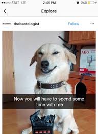 Adapted from a dos equis ad campaign featuring this cosmopolitan guy, this meme format is still in vogue. 14 Memes Funny Jokes Clean Factory Memes