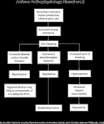 pathophysiology charts see asthma pathophysiology