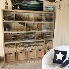 Diy Gerbilarium Ikea Kallax Hack Reptile Room Gerbil Large Hamster Cages