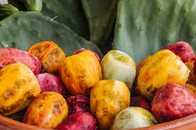 Prickly pear cactus jelly or tuna jelly | texas jelly making. Prickly Pear Tuna Plant