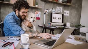 We did not find results for: Teletrabalho Home Office Trabalho A Distancia Camila Fontinele Advogada