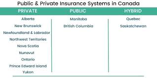 Exploring Joint Life Insurance In Canada Options For Couples 2024