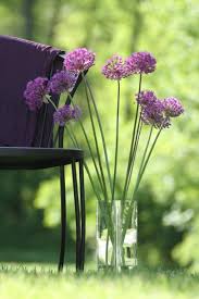 Maybe you would like to learn more about one of these? Long Lasting Cut Flowers Hgtv