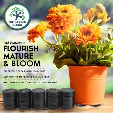 Check spelling or type a new query. Buy The Garden Gecko Invisible Pot Feet For Outdoor Plant Pots And Flowers Solid Rubber Pot Risers With Enhanced Grip 20 Pack Online In Germany B07c9xx79y