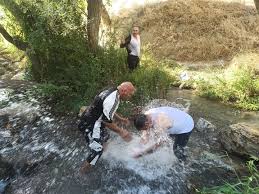 Ebrahim Ahadi ابراهیم احدی‎ (@ebrahim_ahadi_ifbb.judge) • Threads, Say more